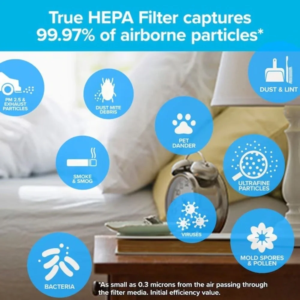 3M Filtrete True HEPA 6 Month Premium Air Purifer‎ Filter Size A